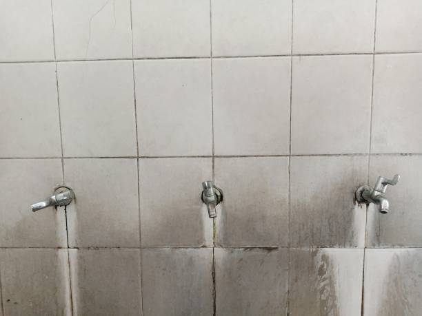 Best Carpet water damage restoration  in Seabrook Farms, NJ