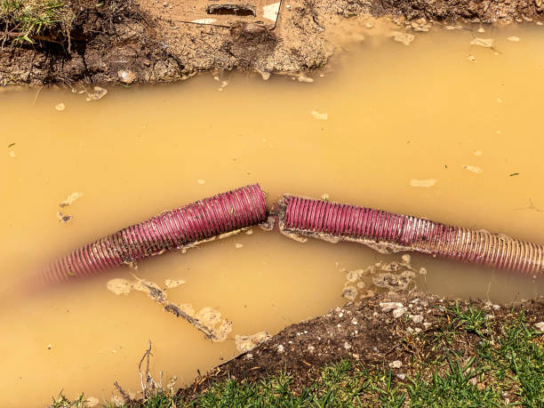 Best Sewage cleanup and water damage restoration  in Seabrook Farms, NJ